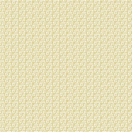 Cricut® Rob & Bob Lattice Deluxe Paper